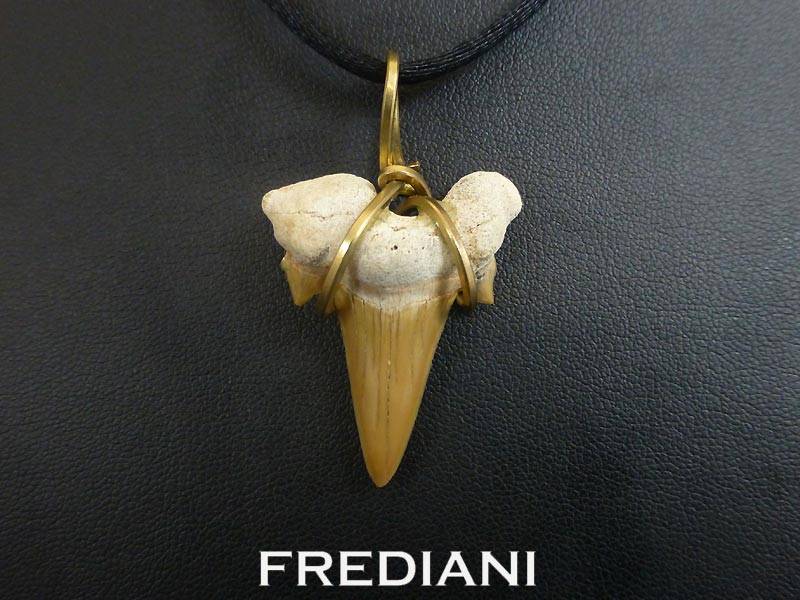 Pendentif en or jaune et dent de Requin