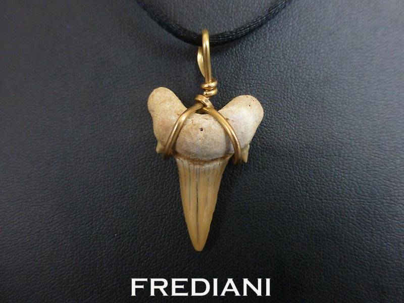 Pendentif en or jaune et dent de Requin