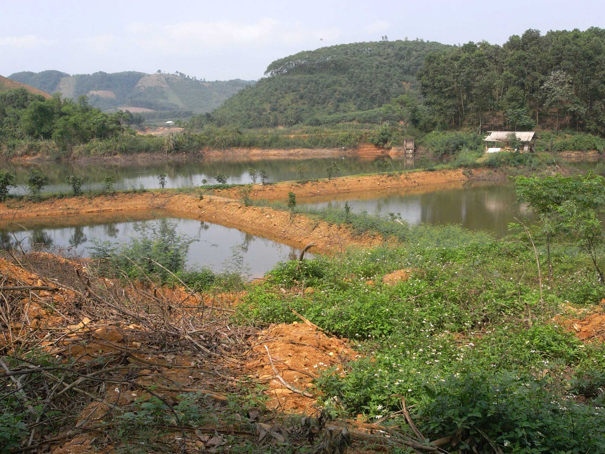 La récolte a été faible, elle appartient au passé, les pierres qui subsistent sont des références de qualité.