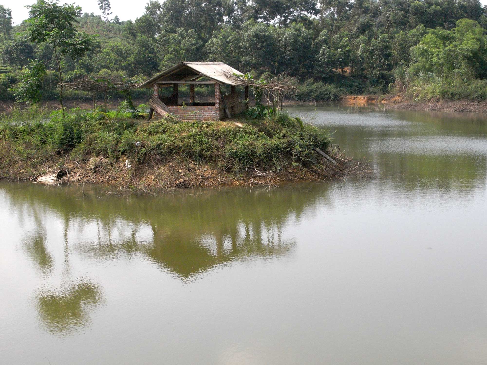 … pour la pêche, ou l'élevage.