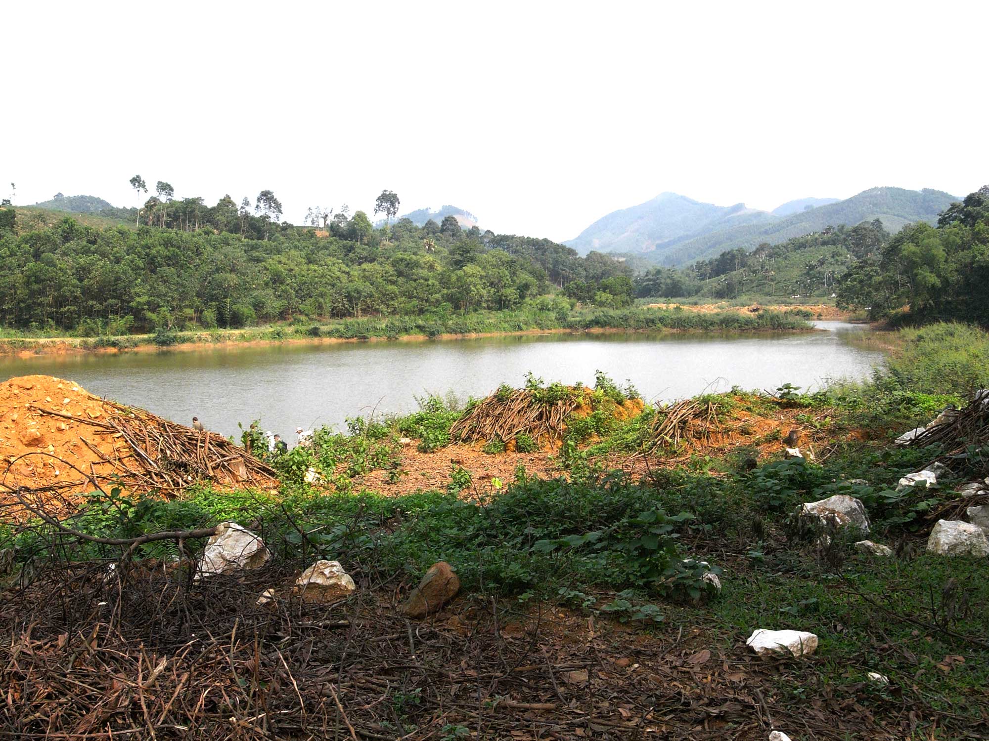 La récolte a été relativement faible. Vraisemblablement, ces lieux vont être transformés en rizière.