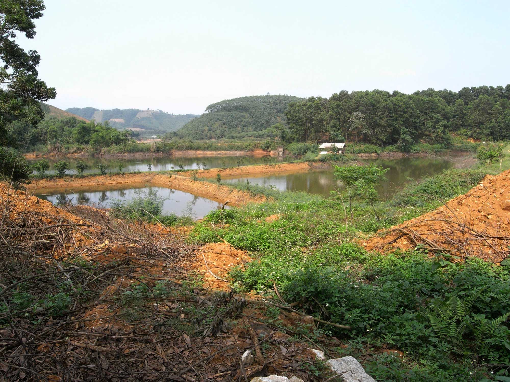 L'exploitation n'a duré que quelques années, mais a donné de belles étoiles aux branches fines.