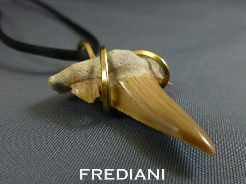 Pendentif en or jaune et dent de Requin