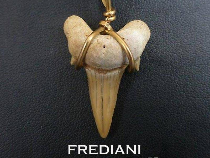 Pendentif en or jaune et dent de Requin