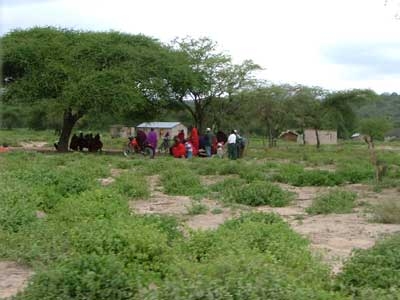 Deuxième voyage à Mérélani, 1 an après. Cette fois ci, nous serons reçus par la grande société industrielle Tanzanite One