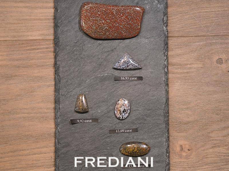 Cabochons d'os de dinosaures disponibles en stock