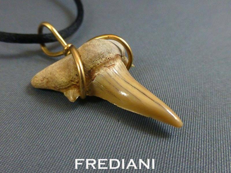 Pendentif en or jaune et dent de Requin
