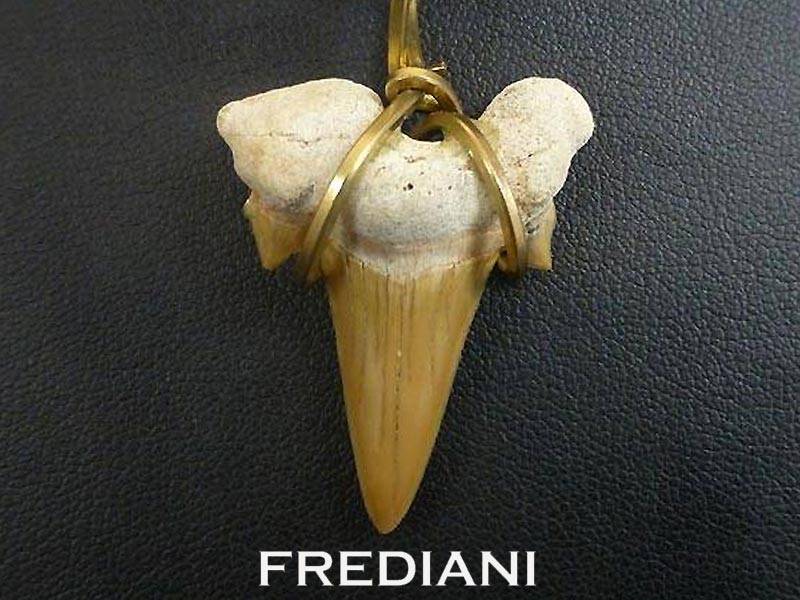 Pendentif en or jaune et dent de Requin